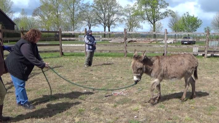 Christine und Sir Henry Sir Henry ist auch auf dem richtigen Weg - und der führt zu Christine