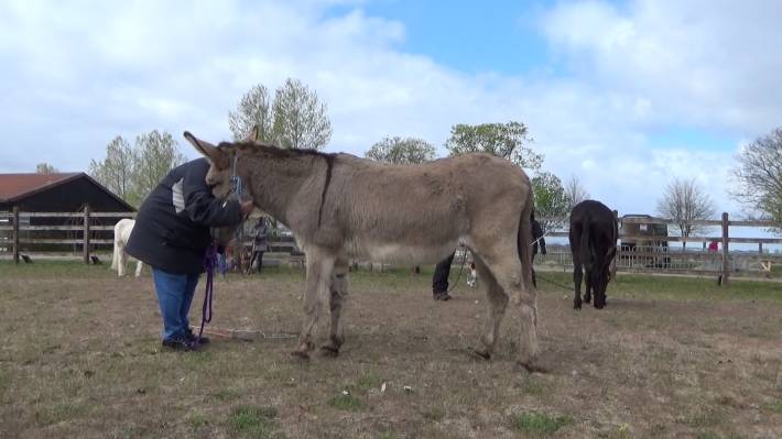 Christine und Sandor - zwei die sich heute noch näher gekommen sind Christine und Sandor - zwei die sich heute noch näher gekommen sind