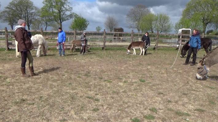 Die Kursteilnehmer mit ihren Eseln vor einem dramatischen April-Himmel Alle Seminarteilnehmer mit ihren Eseln bei unserem Parelli-Einsteiger-Kurs