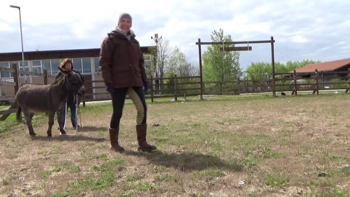 Parelli 3 Sterne Instruktorin Klaudia Duif bei den Eselfreunden im Havelland e. V.