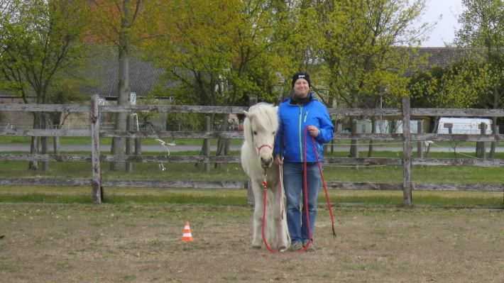 Horseman Heiko mit Islandpferd Lysier