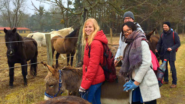 Eselwanderung - Gruppentour - Eselfreunde im Havelland e. V. bei Nauen in Brandenburg