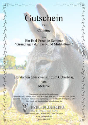 weiterlesen: Gutscheine