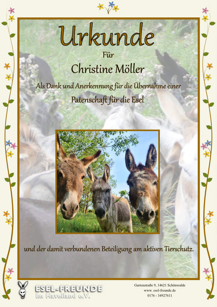 Patenschaftsurkunde Standardedition.