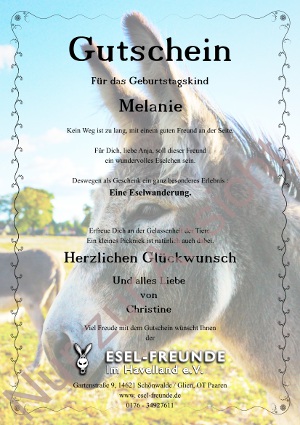 Eselfreunde im Havelland, Brandenburg, Gutschein, Eselwanderungen, Esel-Kurse