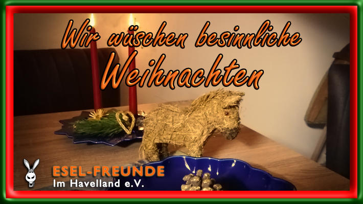 Weihnachtsgrüße Eselfreunde im Havelland e.V. , Brandenburg
