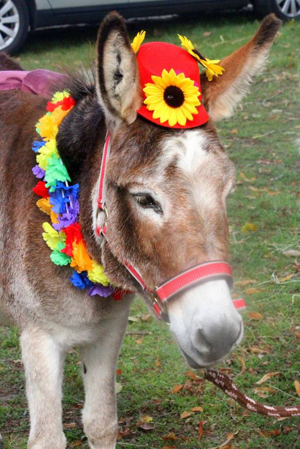 Foto copyright Brigitte Steinke Erntefest01