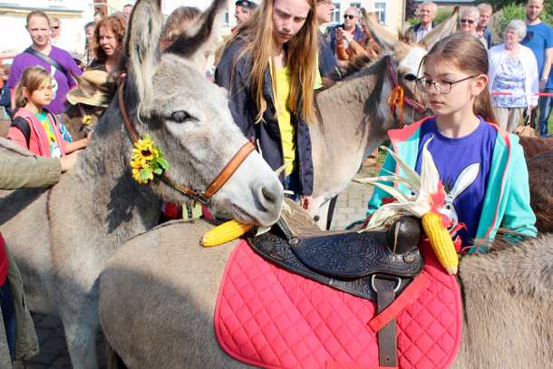 Herausforderung_02 Herausforderung_02