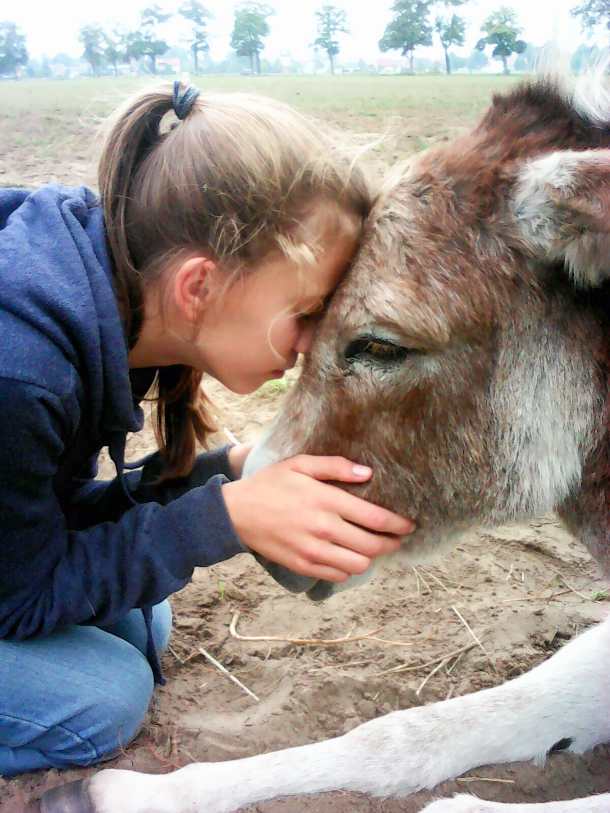 Herausforderung_04 Herausforderung_04